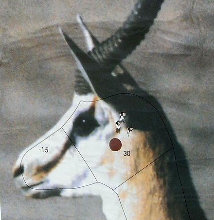 IMAG0118